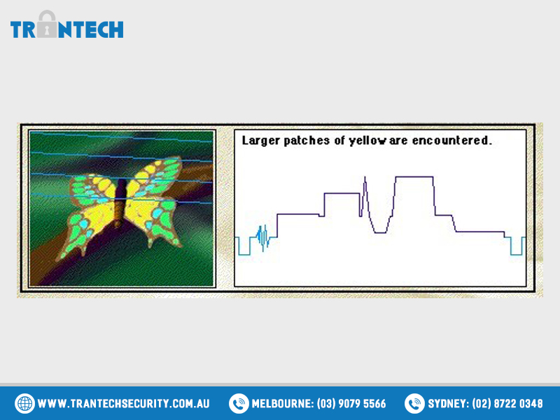 The video frame is constructed by lines. The video frame is constructed by lines.